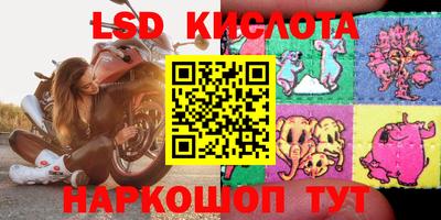 дживик Моздок