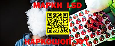 прущие грибы Можга