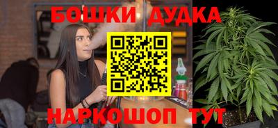 прущие грибы Можга