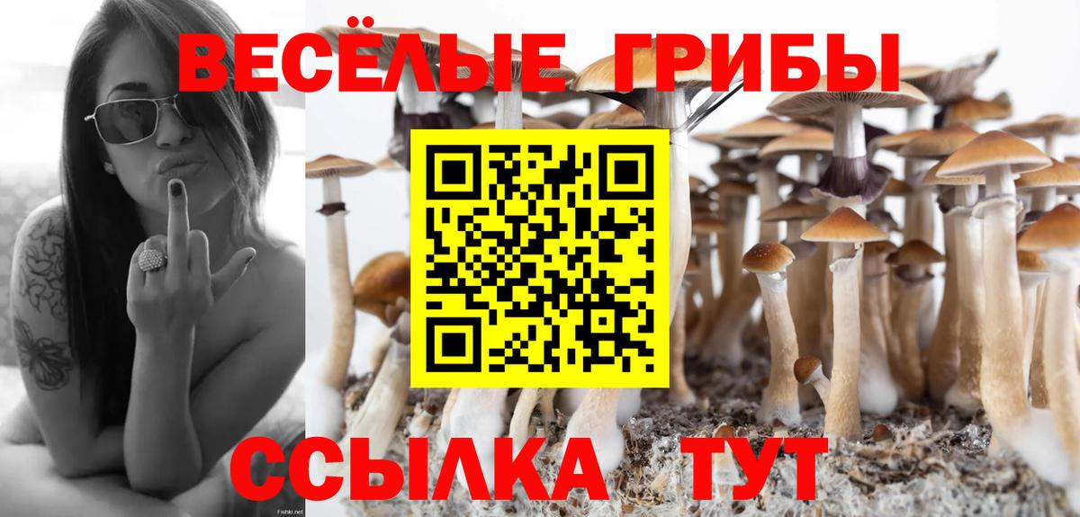Псилоцибиновые грибы Cubensis Усть-Джегута